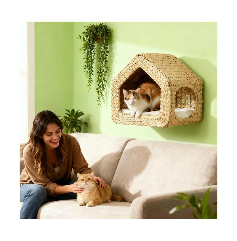 Zeus & Ruta Wall Mounted Cat House