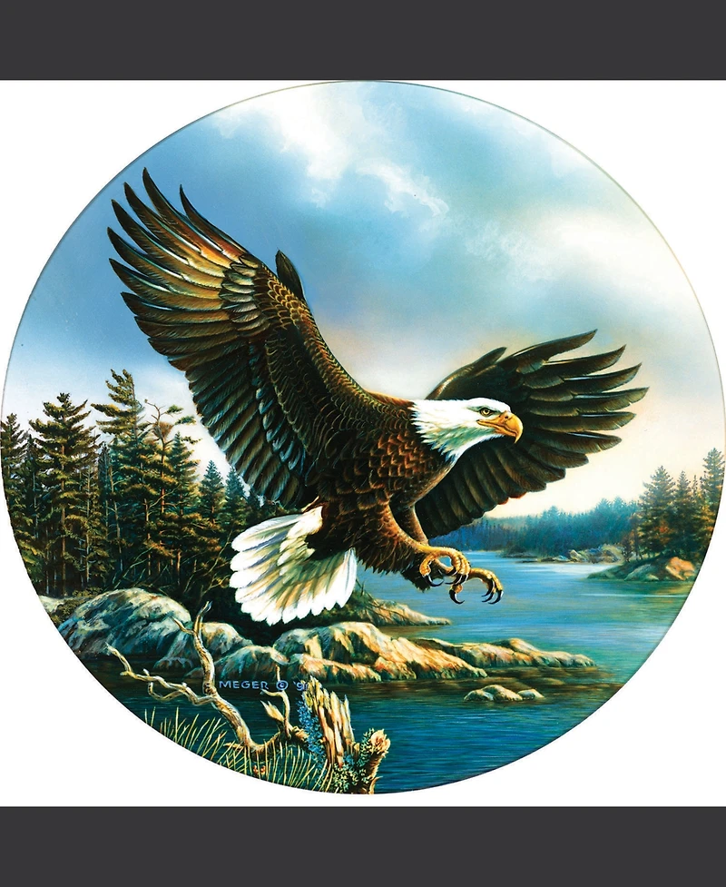 SunsOut Eagle Landing 500 piece Jigsaw Puzzle for Adults