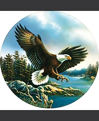 SunsOut Eagle Landing 500 piece Jigsaw Puzzle for Adults
