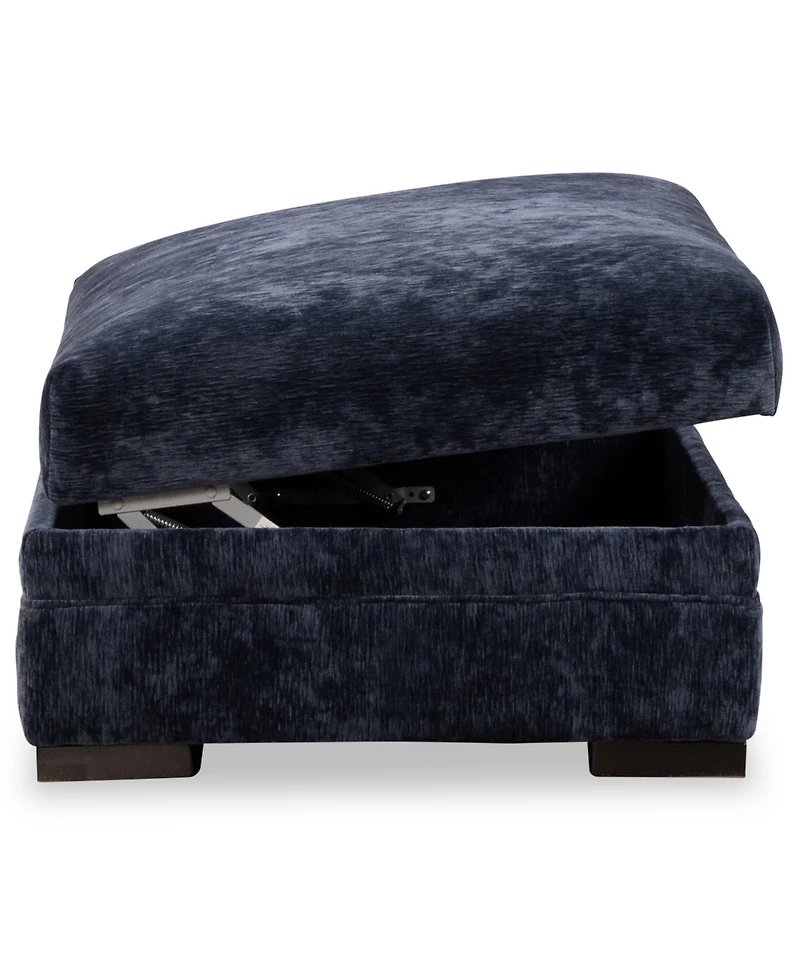 Furniture 19" Triana Storage Ottoman
