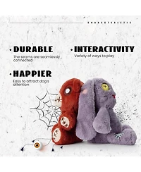 Nocciola Halloween Dog Toy for Small Dogs, Durable and Cute Stuffing Dog Toy, Squeaky Bear Puppy Toy, Interactive Dog Toys, Perfect Present for Small