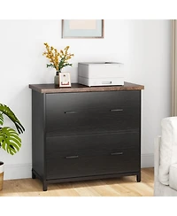 Tribesigns 2-Drawer File Cabinet, Letter Size (Black and Brown)