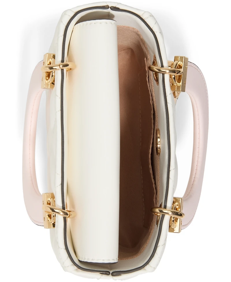 Aldo Florensee Mini Satchel Bag