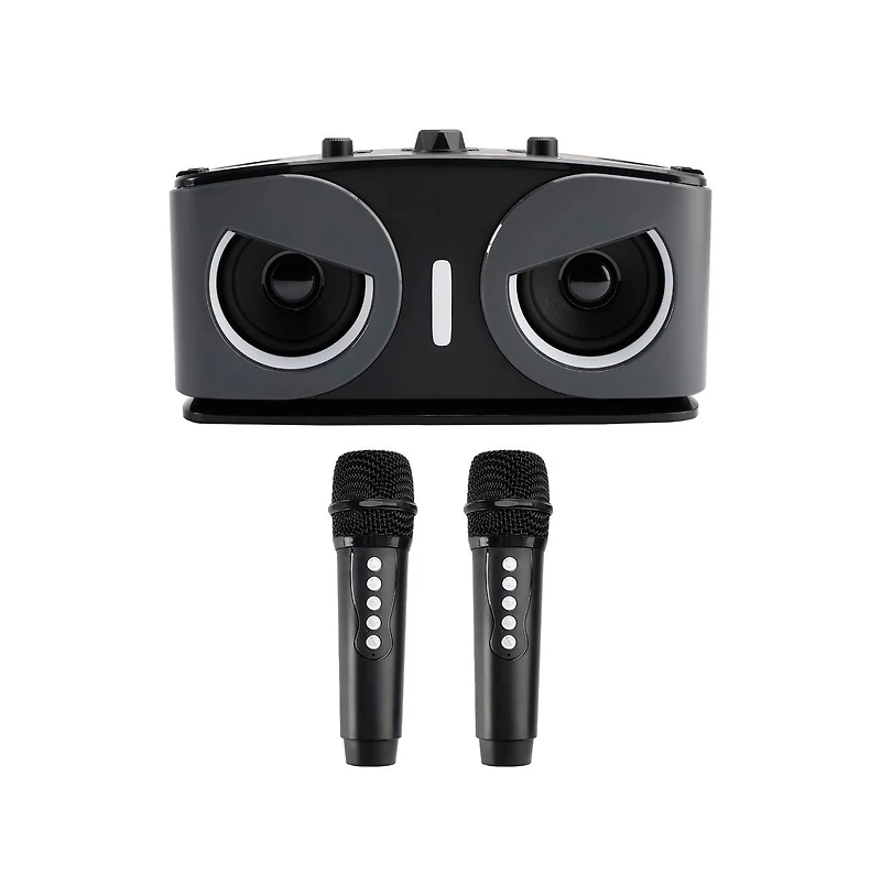 Artudatech 20W Karaoke Speaker System with Voice Changer, 2 Wireless Mics, Bluetooth 5.3 & Aux Tv Connection