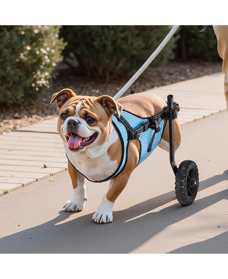Cozito Shock-Absorbing 2-Wheel Pet Wheelchair for Back Legs, Medium