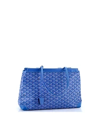 Pre-Owned Goyard Pm Bellechasse Bag Coated Canvas