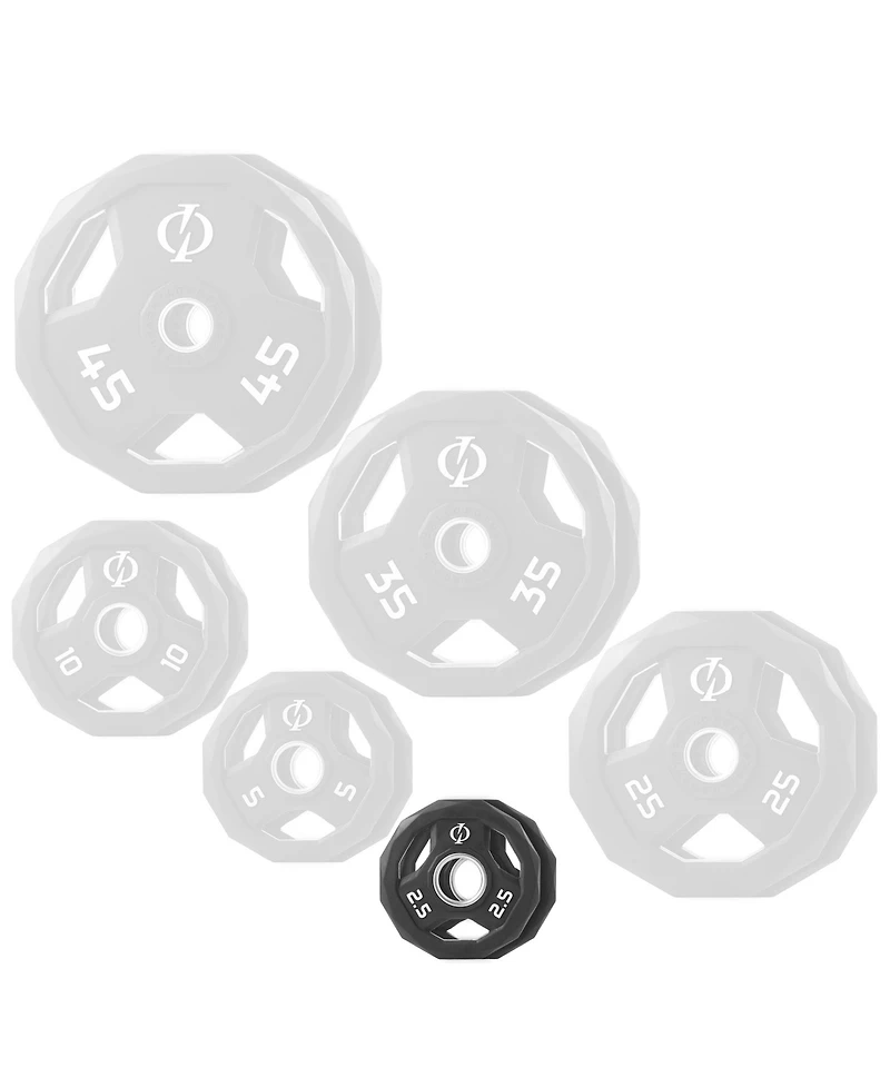 Philosophy Gym Set of 2 Rubber Coated 2-inch Olympic Grip Weight Plates ( Lb each) for Weightlifting