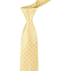 Tommy Hilfiger Men's Newport Dot Pattern Tie