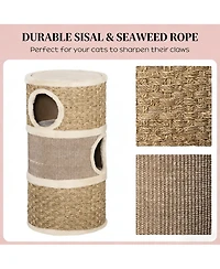 Zeus & Ruta Cat Hideaway Condo