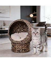 Zeus & Ruta Elevated Cat Egg Chair