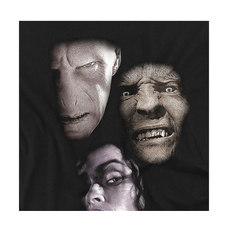 Harry Potter Men's Villian Heads T Shirt