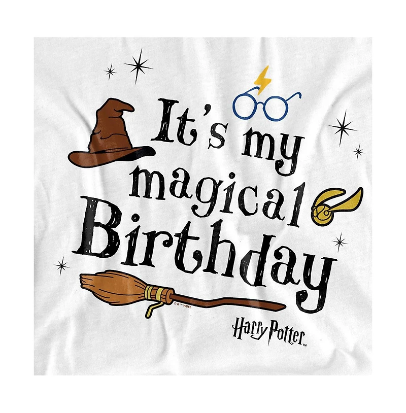Harry Potter Men's It's My Magical Birthday T Shirt