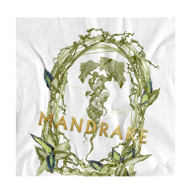Harry Potter Men's Mandrake Floral Diagram T Shirt