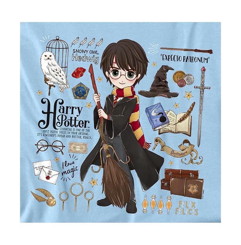 Harry Potter Men's Everything That Is T Shirt