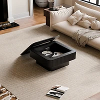 Streamdale Furniture Solid Wood Veneer Storage Coffee Table for Living Room