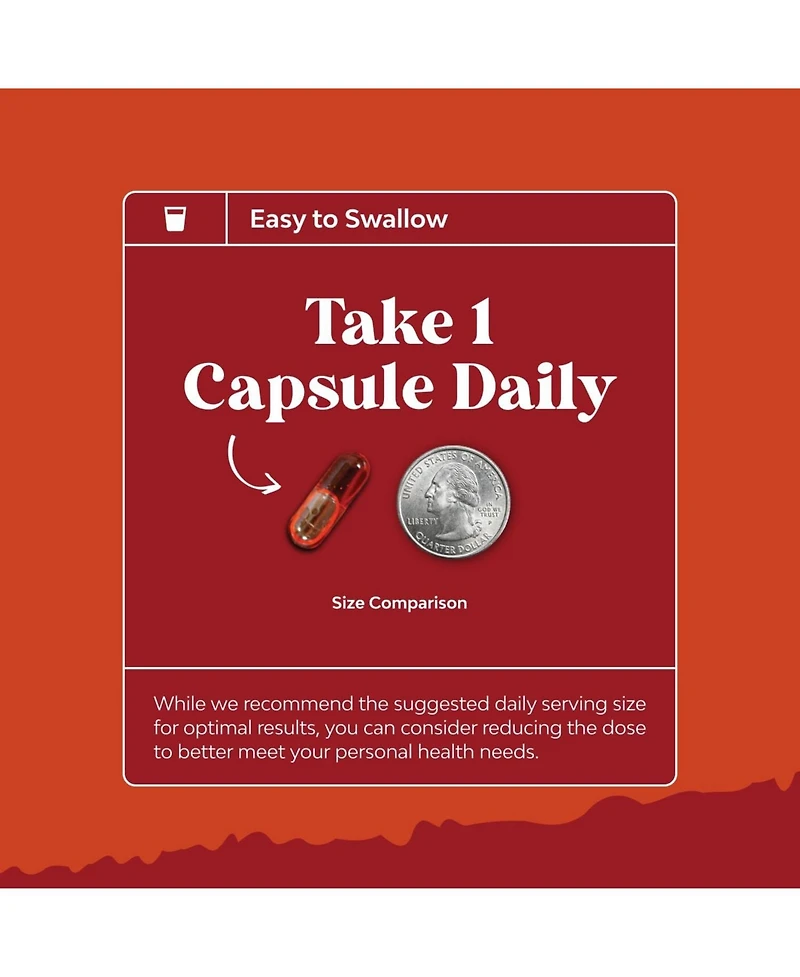 Nature's Craft Chia Seed Extract Capsules, 60ct