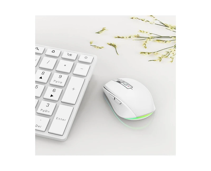 Risokeys Dual-Mode Wireless Mouse-(2.4G & Bluetooth 5.1), 2400 Dpi Adjustable, Silent Click, Type-c Rechargeable