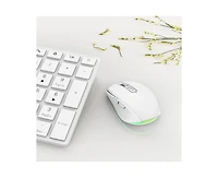 Risokeys Dual-Mode Wireless Mouse-(2.4G & Bluetooth 5.1), 2400 Dpi Adjustable, Silent Click, Type-c Rechargeable