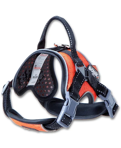Aostirmotor High-Performance Sport Dog Harness “Helios Scorpion”