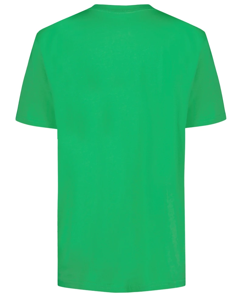 Tommy Hilfiger Boys' 8-20 Linear Flag Crewneck T-Shirt