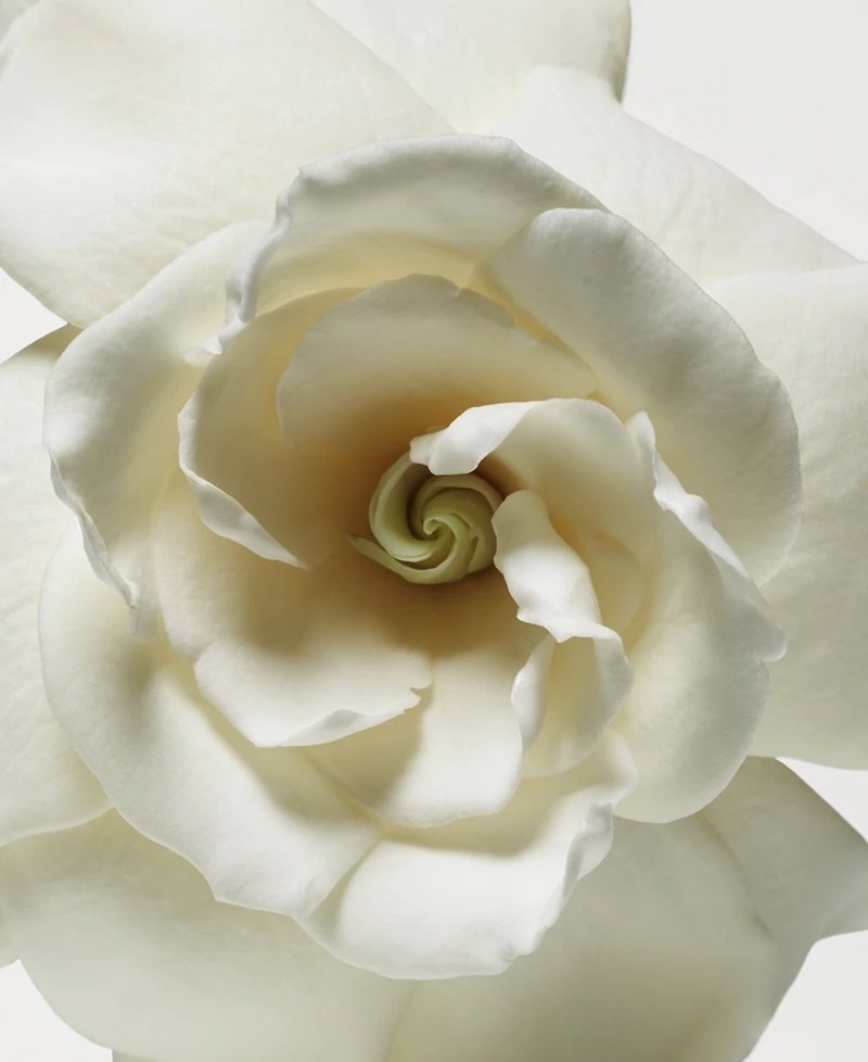 Donna Karan New York 3-Pc. Deluxe Cashmere Mist Eau De Parfum Set