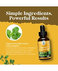 Organic Lemon Balm Liquid, Mood Support and Digestive Health, Nature's Craft, 30mL