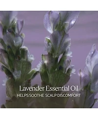 L'Occitane Gentle & Balance Shampoo 2.50 fl oz