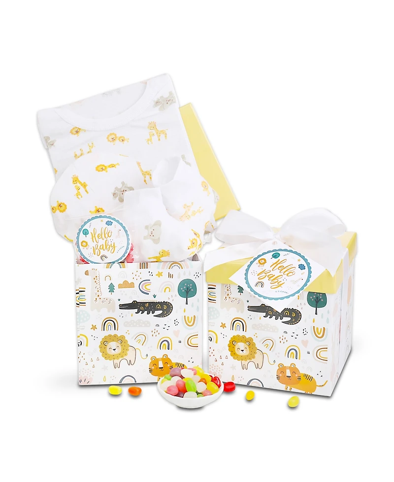 Alder Creek Gift Baskets Baby Gift Box, 4 Pieces