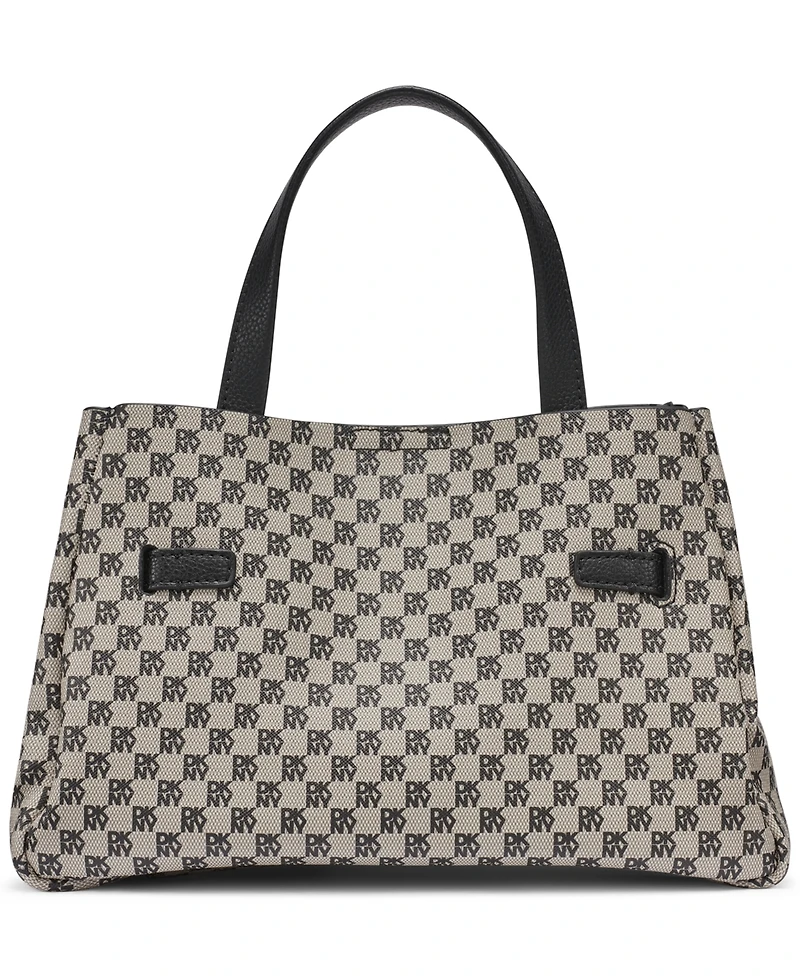 Dkny Bryar Crossbody Small Satchel Bag