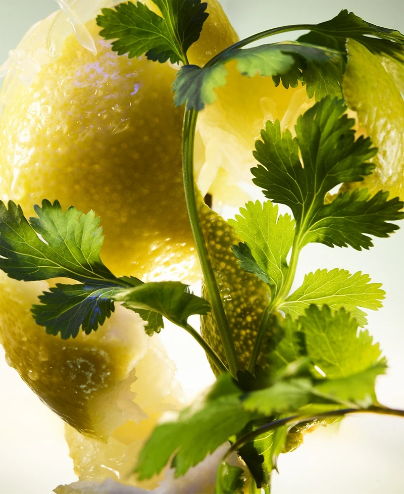 Bvlgari 2-Pc. Man Wood Essence Eau De Parfum Gift Set