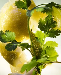 Bvlgari 2-Pc. Man Wood Essence Eau De Parfum Gift Set