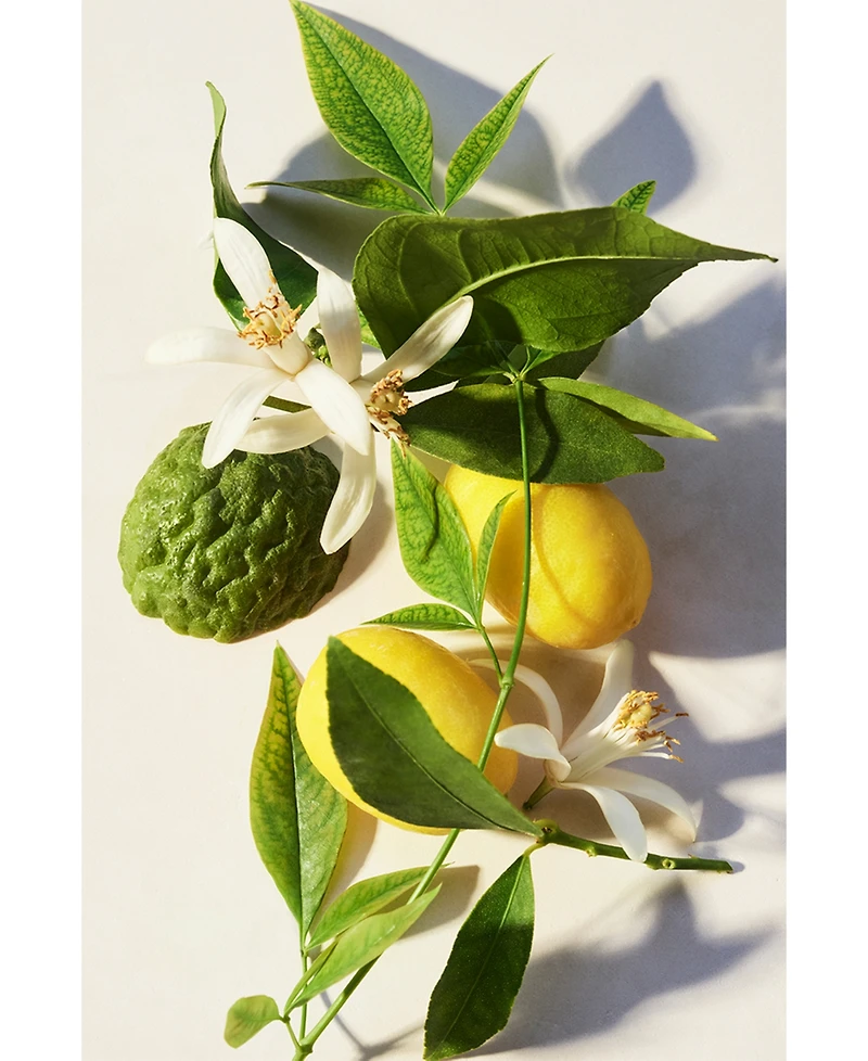 Bvlgari Eau Parfumee The Vert Body Lotion, 10.1 oz.