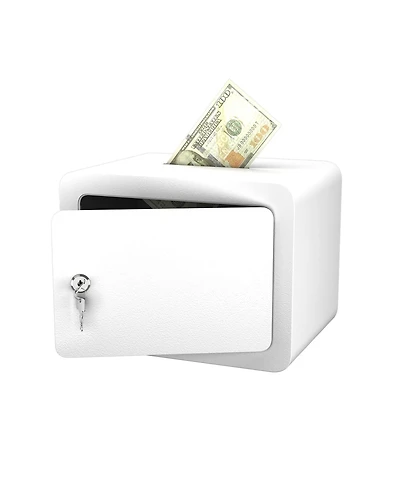 Clihome Mini Storage Cabinet Secure Safe With Key and Password