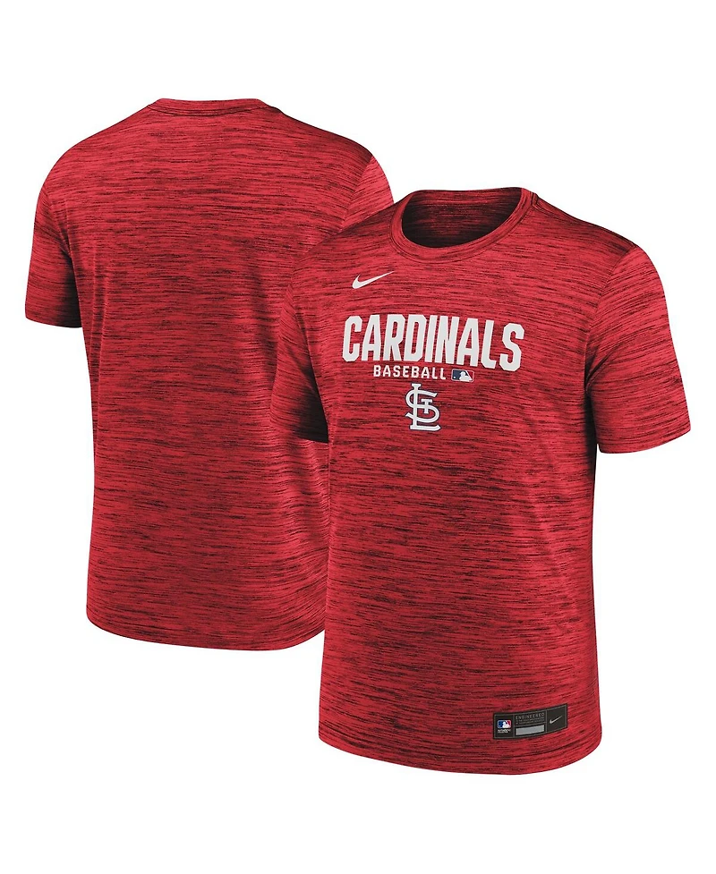 Nike Men's Red St. Louis Cardinals Authentic Collection Velocity Dri-fit T-Shirt