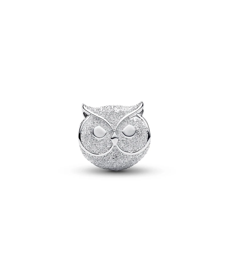 Pandora Textured Owl Mini Charm