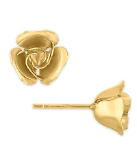 Macy's Stud Earrings in 10k Gold