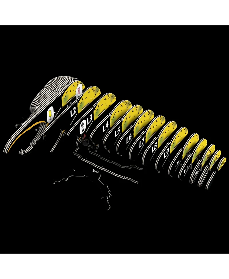 Eugy Hercules Beetle 3D Puzzle