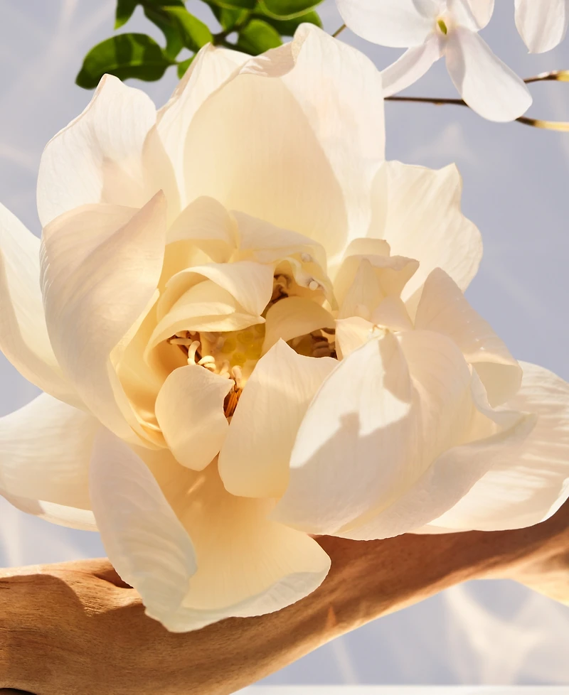 Bvlgari 2-Pc. Omnia Crystalline Eau De Parfum Gift Set