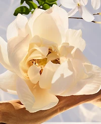 Bvlgari 2-Pc. Omnia Crystalline Eau De Parfum Gift Set