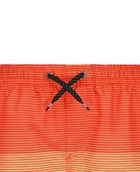 Quiksilver Boys' 8-20 Everyday Mix Stripe Swim Board Shorts