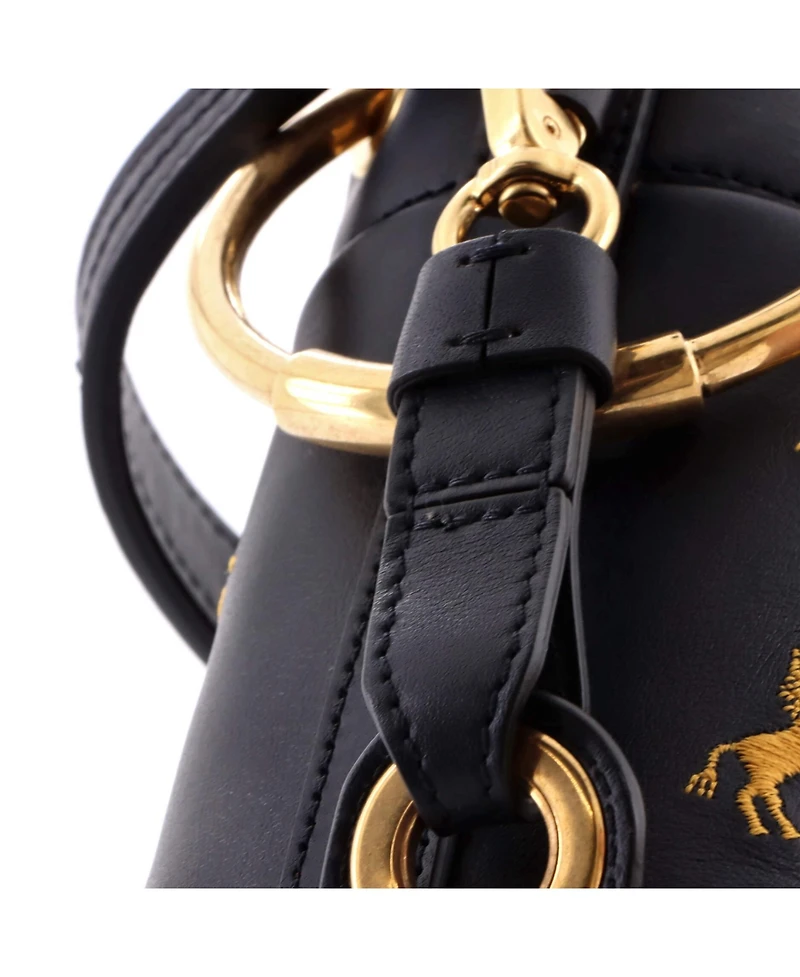 Pre-Owned Chloe Mini Roy Bucket Bag Embroidered Leather