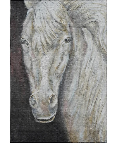 Addison Mayfield AMF2080 10'x14' Area Rug