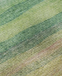 Addison Mayfield AMF2093 8'x10' Area Rug