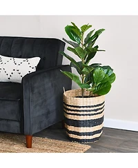 Household Essentials Cattail and Paper Multi Band Basket