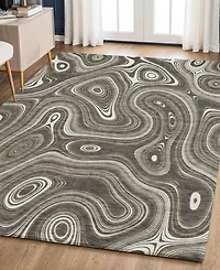 Addison Mayfield AMF2097 9'x12' Area Rug