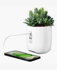 iHome Power Plant Faux Succulent Usb Charging Station