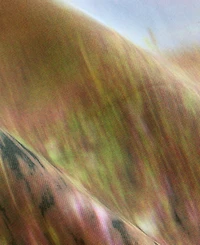 On 34th Women's Landscape Everyday Graphic Tee, Macy's Exclusive