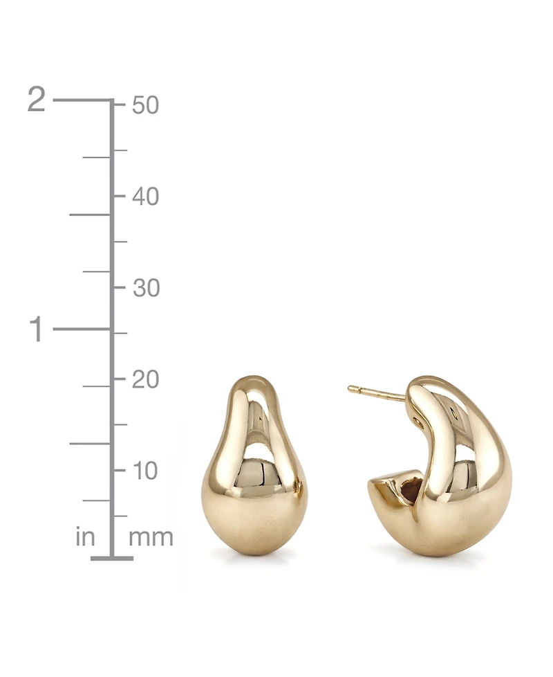 And Now This Oblong C-Hoop Earrings