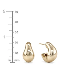 And Now This Oblong C-Hoop Earrings