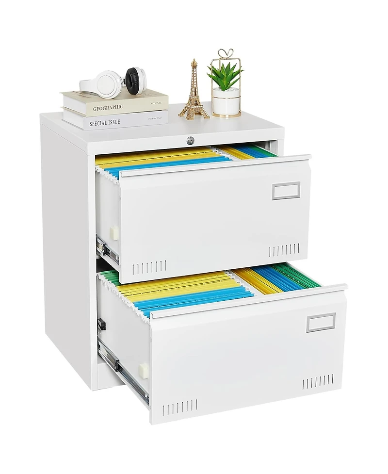 Rainsken 2 Drawer Lateral File Cabinet with Lock, Home Office Metal Filing Cabinet for Letter/Legal/A4/F4 Size (White)